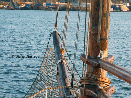 P1120313_HP
