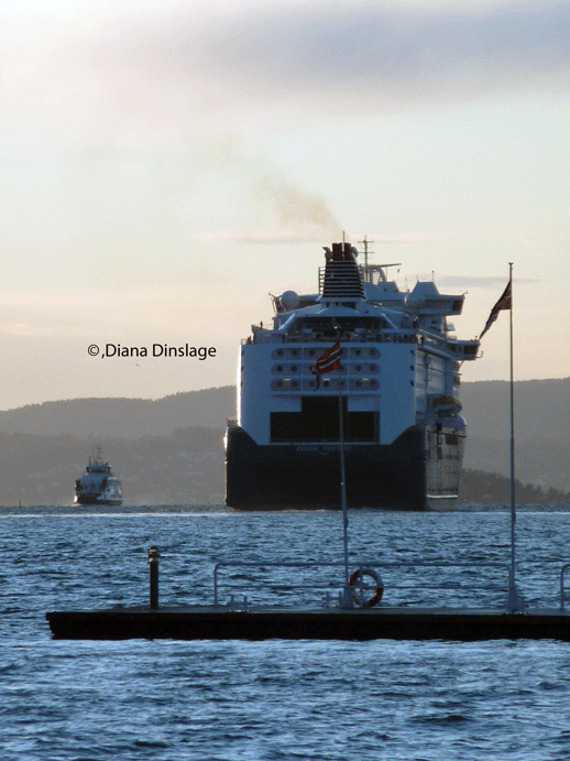 P1120251_HP1